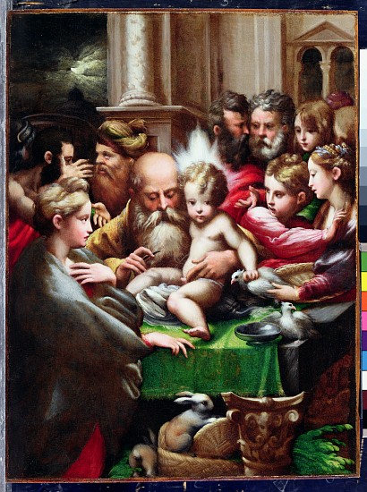 The Circumcision a Parmigianino