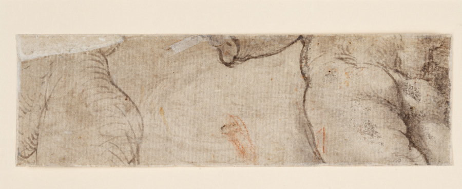 Zwei Puttenkörper (fragmentarisch) a Parmigianino