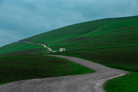 Green nature