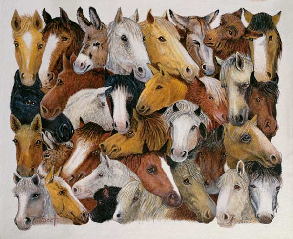 Horses Horses (oil on canvas)  a Pat  Scott