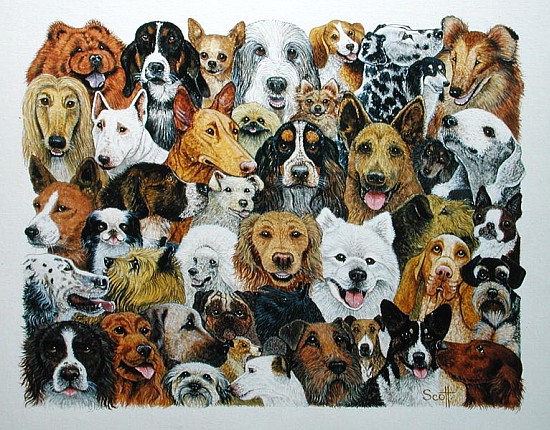 Dog Friends (oil on canvas)  a Pat  Scott