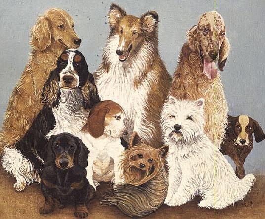 Dogs'' Dinner (oil on canvas)  a Pat  Scott