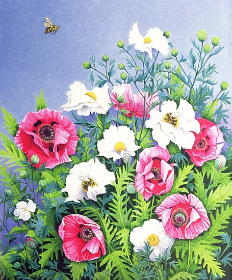 Honey Bee, Honey Bee (oil on canvas)  a Pat  Scott