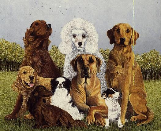 Oliver''s Dogs (oil on canvas)  a Pat  Scott