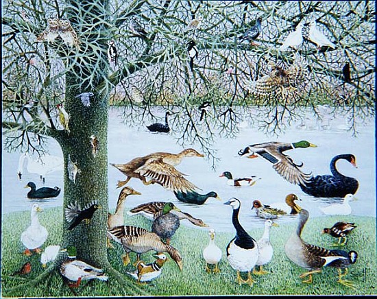 The Odd Duck (acrylic on canvas)  a Pat  Scott