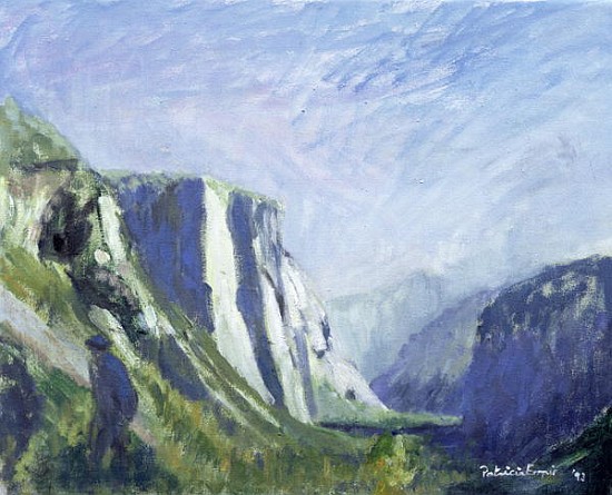 El Capitan, Yosemite National Park, 1993 (oil on canvas)  a Patricia  Espir