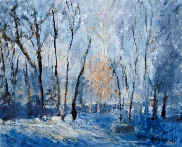 Snow in the Garden, 1993  a Patricia  Espir