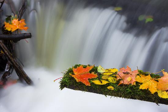 Herbstfeature in Märkisch-Oderland a Patrick Pleul
