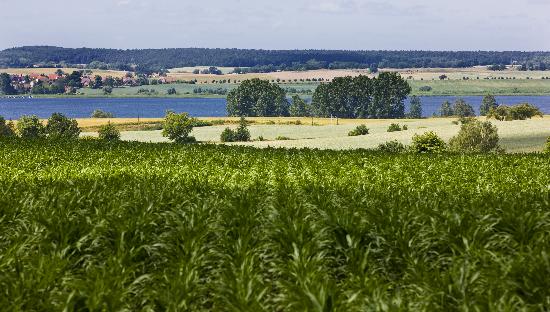 Landschaft der Uckermark in Brandenburg a Patrick Pleul