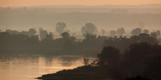 Nebbia mattutina sull Oder  a Patrick Pleul