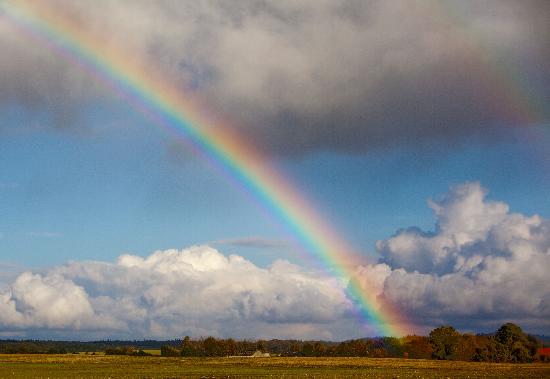 Regenbogen über Herbstlandschaft a Patrick Pleul