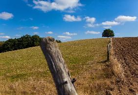 Herbstliche Landschaft der Uckermark