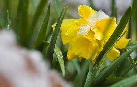 Kalter Start in den Frühling