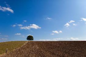 Landschaft der Uckermark