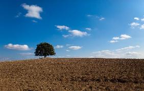 Landschaft der Uckermark