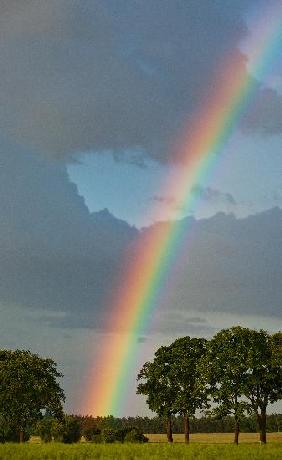 Regenbogen über Brandenburg