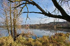 Spätherbst im Nationalpark Unteres Odertal