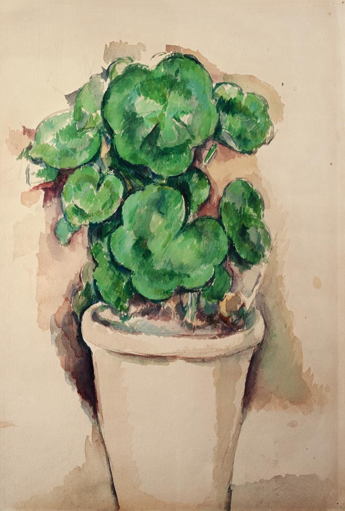 Pot of Geraniums a Paul Cézanne