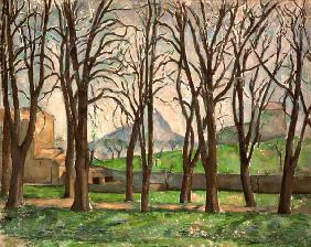 Chestnut trees at the Jas de Bouffan