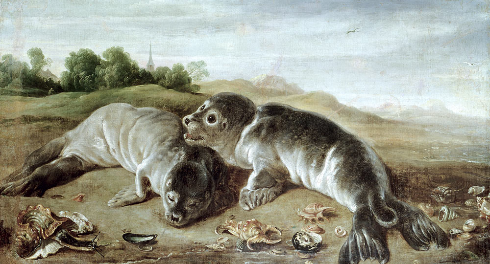 Two Young Seals on the Shore a Paul de Vos