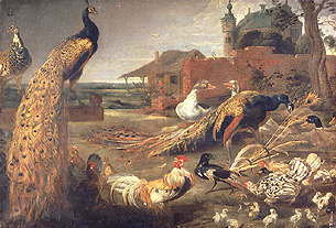 Eine Krähe in Pfauenfedern. a Paul de Vos