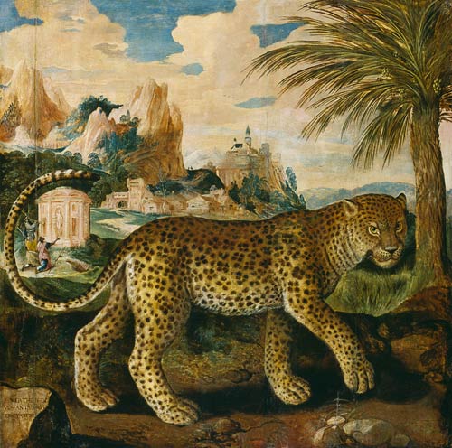 A leopard. a Paul de Vos