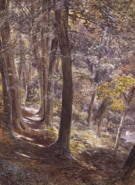 A Woodland Glade a Paul Jacob Naftel