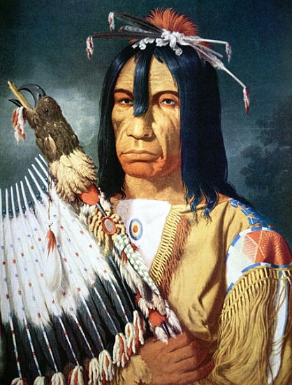 Native American Chief of the Cree people of Canada a Paul Kane