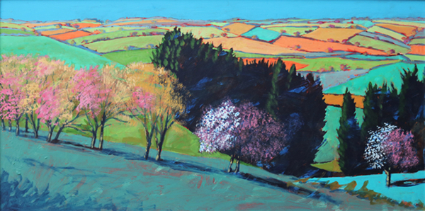 Teme Valley blossom a Paul Powis