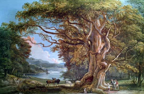 An Ancient Beech Tree a Paul Sandby