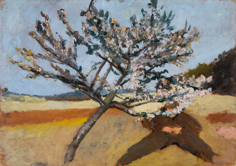 Man lying beneath a Blossoming Tree a Paula Modersohn-Becker