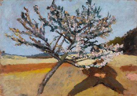 Man lying beneath a Blossoming Tree