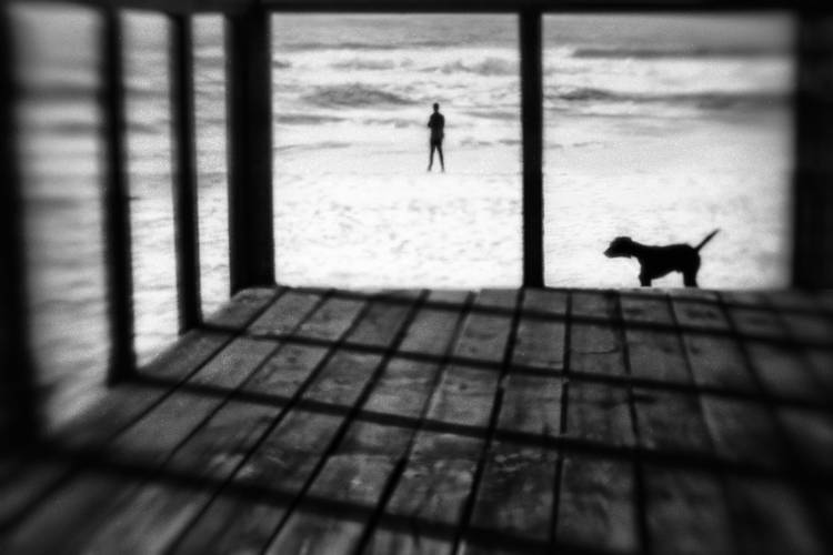 Left Behind a Paulo Abrantes