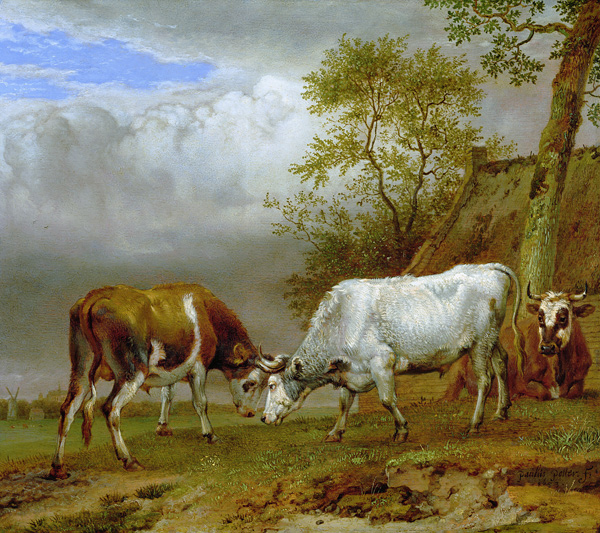 Two Bulls with Locked Horns a Paulus Potter
