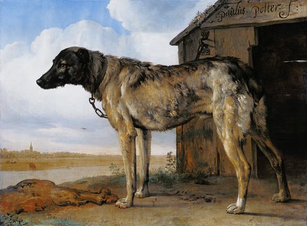 Dog on a Chain a Paulus Potter