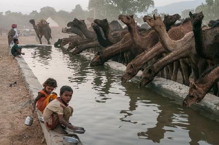 water for all