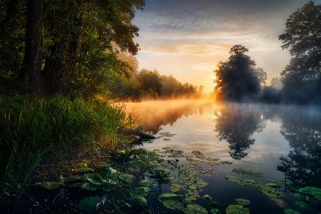 Enchanted pond