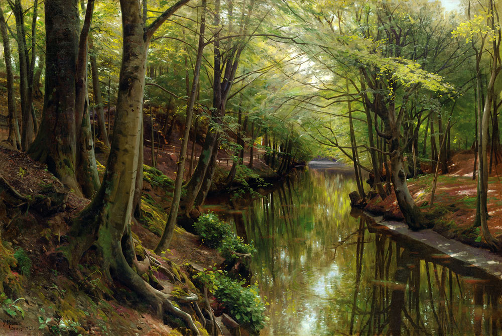 Gewässer in einem Wald a Peder Moensted