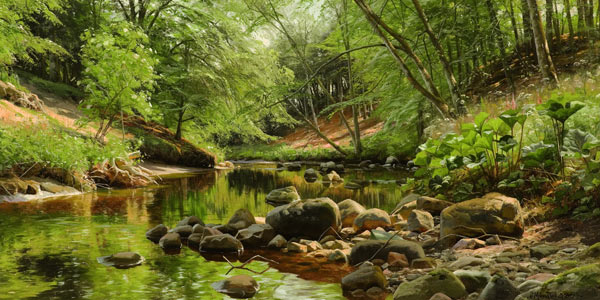 Sunny Forest Stream a Peder Moensted