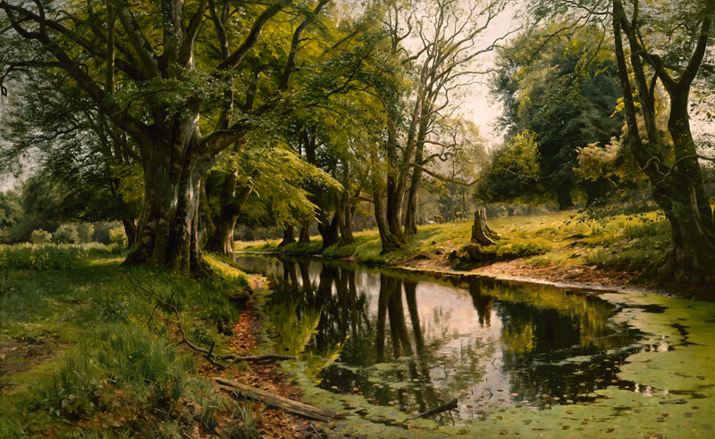 Still Water in the Forest a Peder Moensted