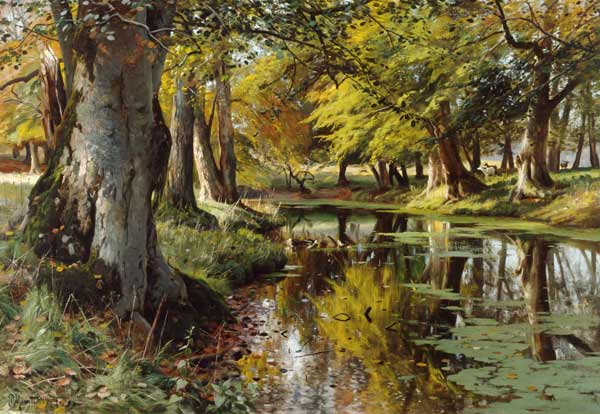 Late Summer at the Forest Stream a Peder Moensted