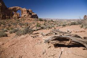 Baum und Turret Arch Utah USA