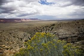 Vermillion Cliffs Arizona USA