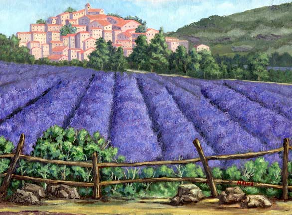 The French Lavenderfield a Peter Millard