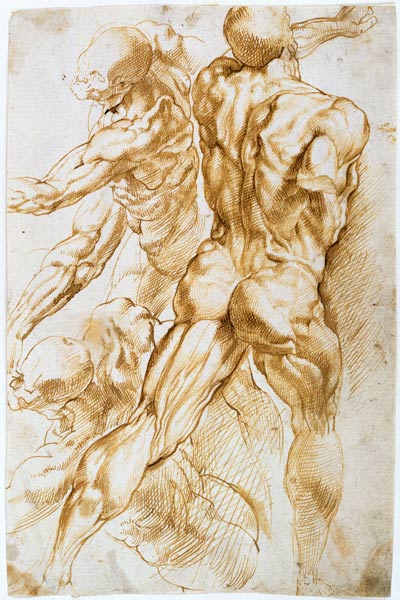 Anatomische Studie: Kämpfende Akte. a Peter Paul Rubens