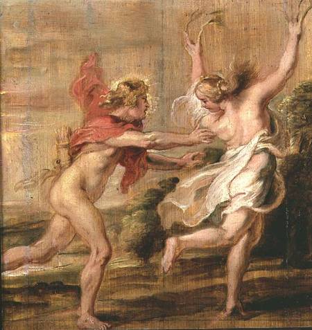 Apollo and Daphne a Peter Paul Rubens