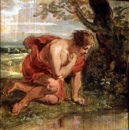 Narcissus a Peter Paul Rubens