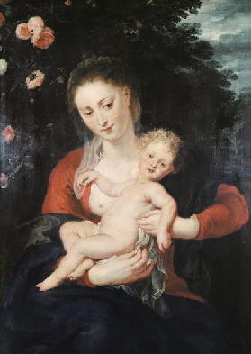 Madonna with forget-me-not / Rubens