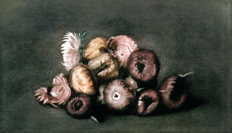 Still Life of Dried Flowers (coloured mezzotint) a Peter Vilhelm Ilsted