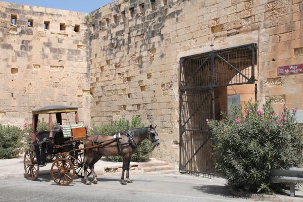 Pferdekutsche in Valetta, Malta a Peter Wienerroither